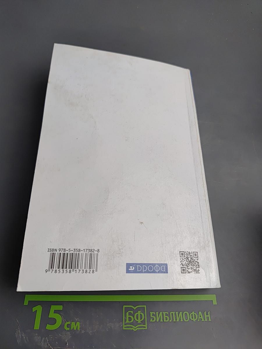 Литература 11 класс Часть 1