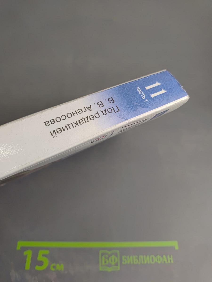 Литература 11 класс Часть 1