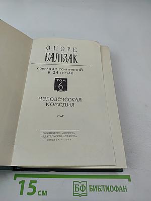 Человеческая комедия. Том 6