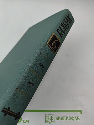 Человеческая комедия. Том 6