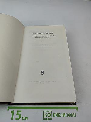 Пьесы. Сцены, наброски