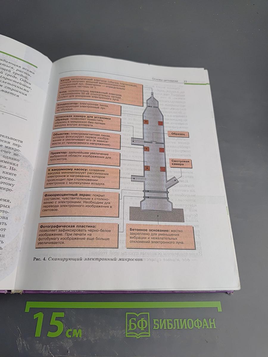 Биология. Общая биология. 10-11 классы