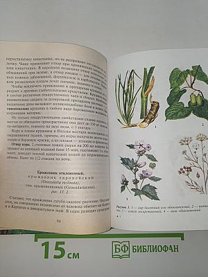 Травник