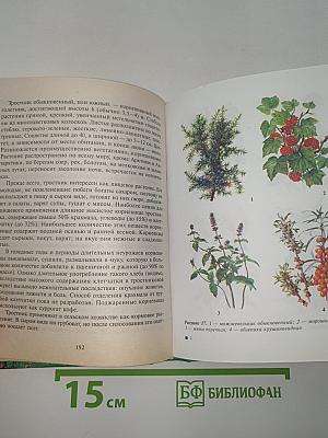 Травник