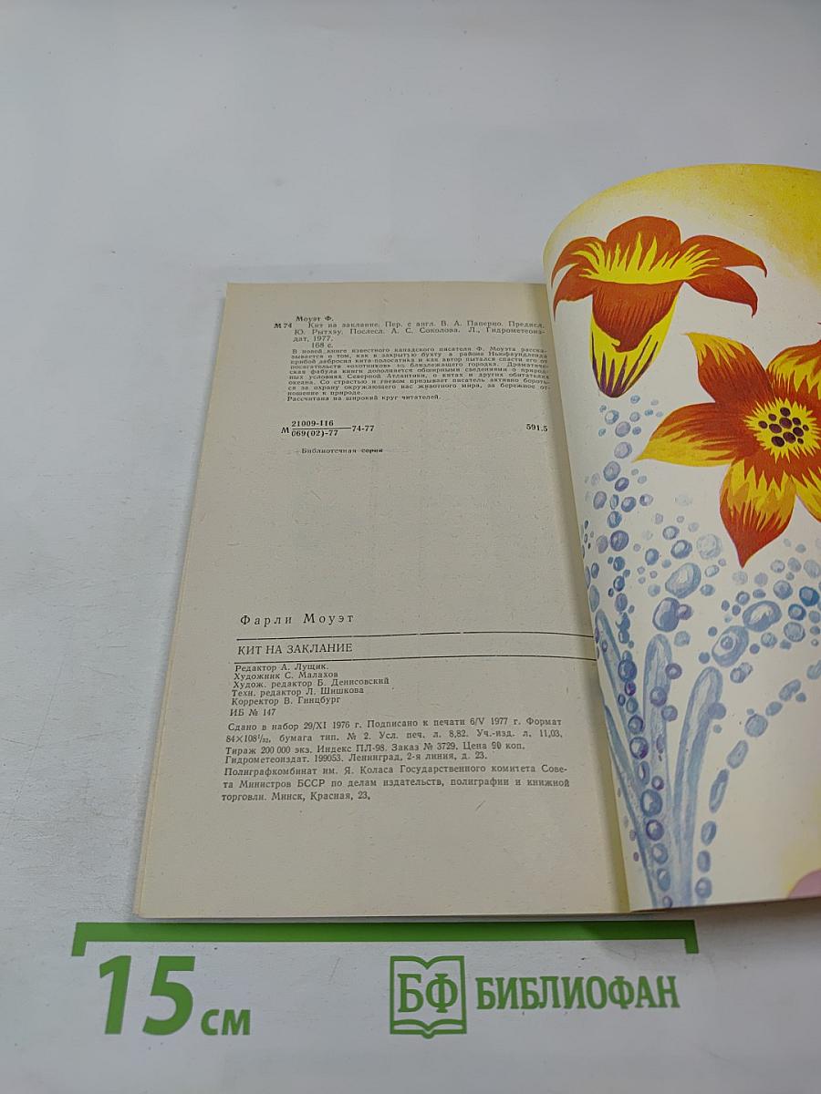 Кит на заклание