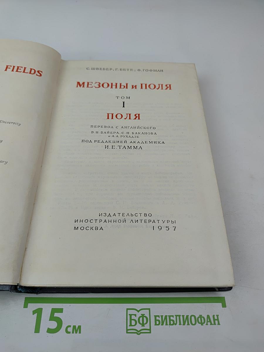 Мезоны и поля Том I