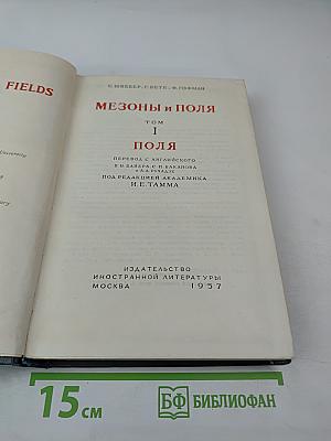 Мезоны и поля Том I