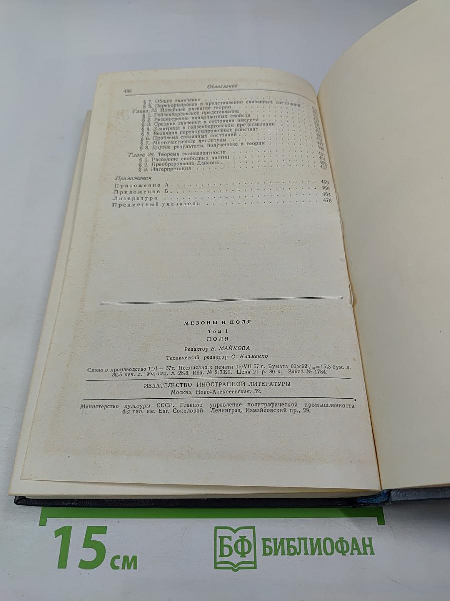 Мезоны и поля Том I