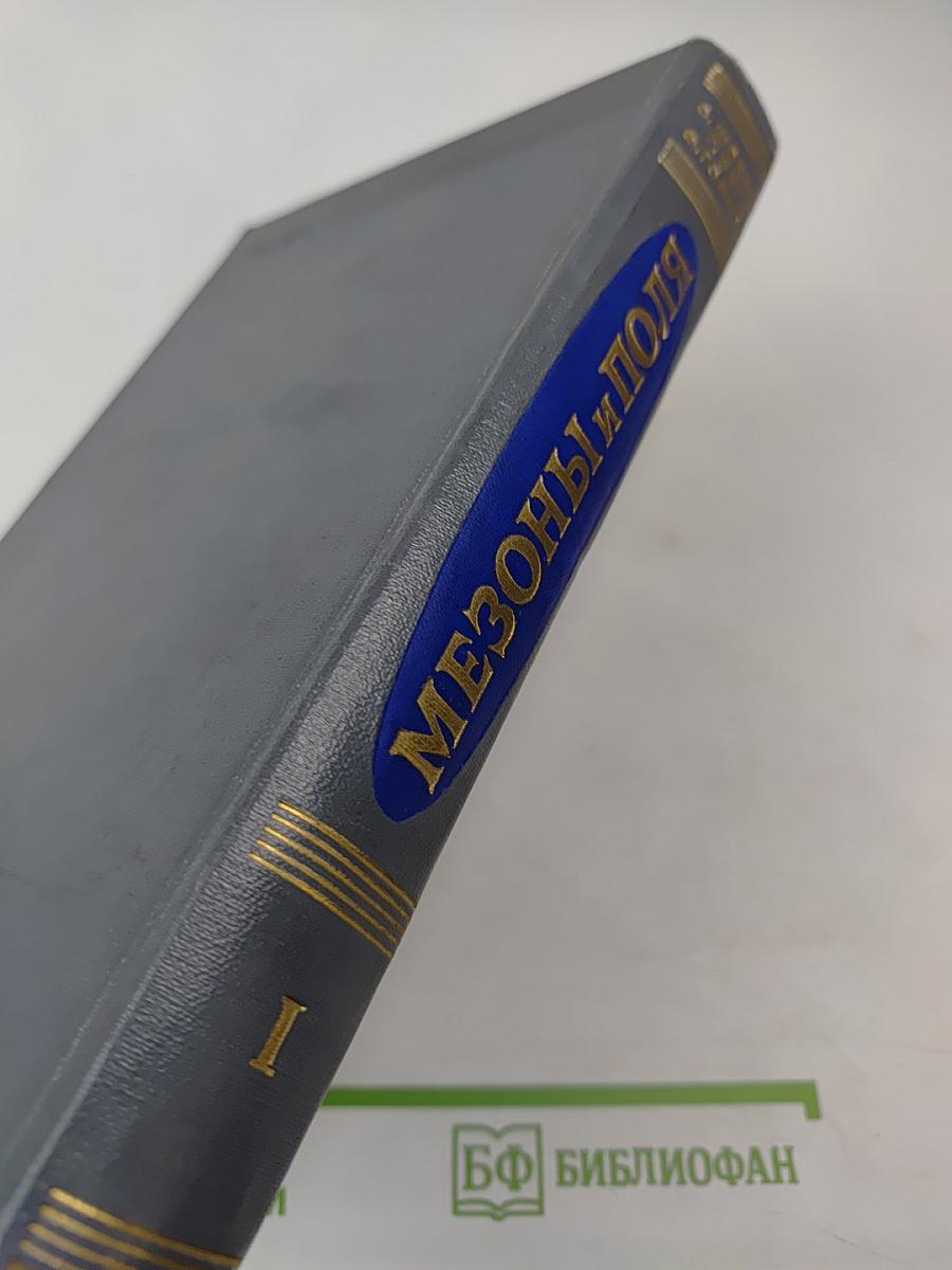 Мезоны и поля Том I