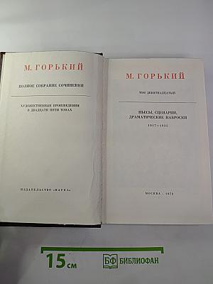 Полное собрание сочинений. Том 19: Пьесы, сценарии, драматические наброски 1917-1935