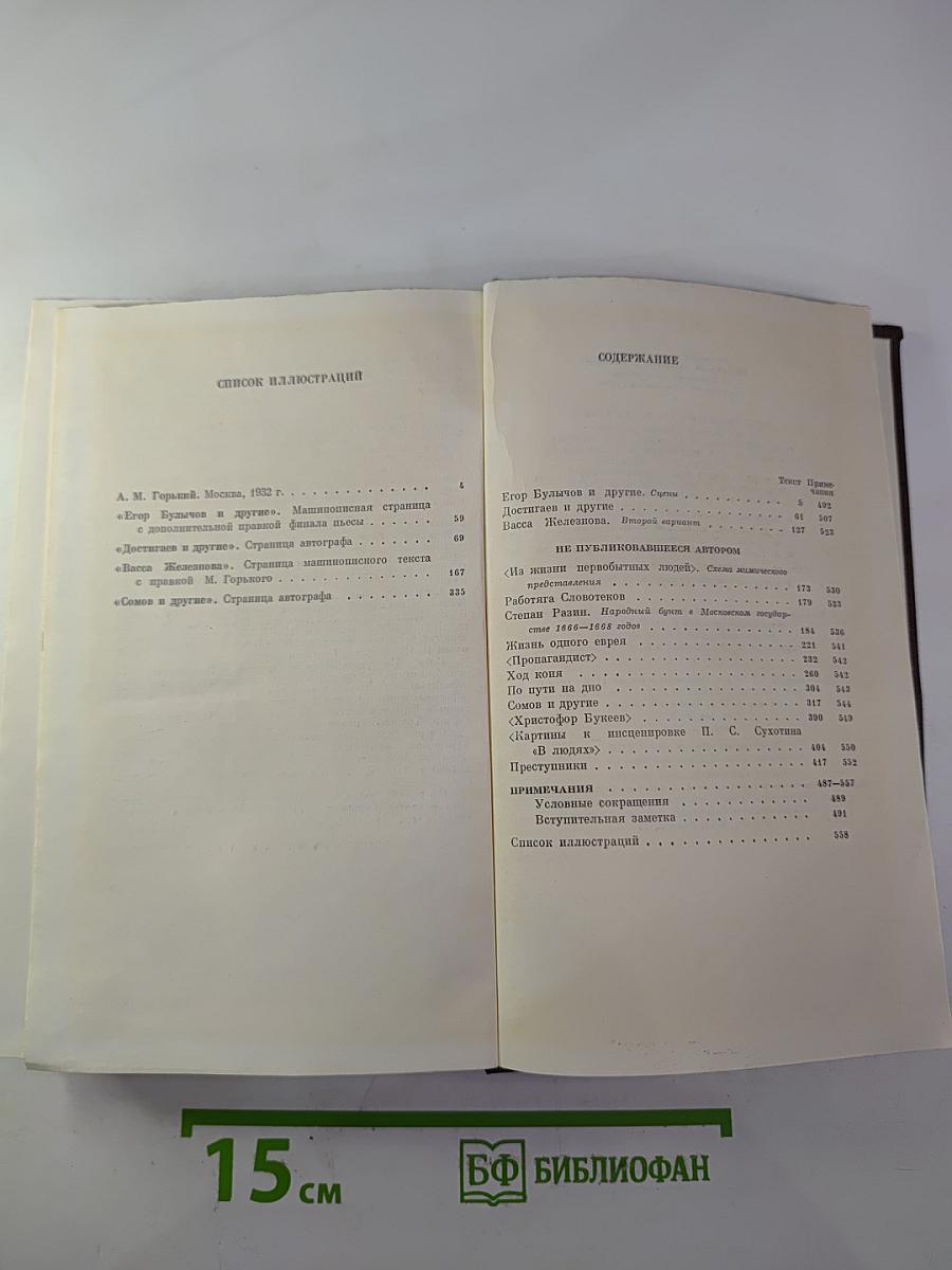Полное собрание сочинений. Том 19: Пьесы, сценарии, драматические наброски 1917-1935