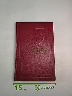 Собрание сочинений. Том девятый. Очарованная душа. Книга третья. Мать и сын