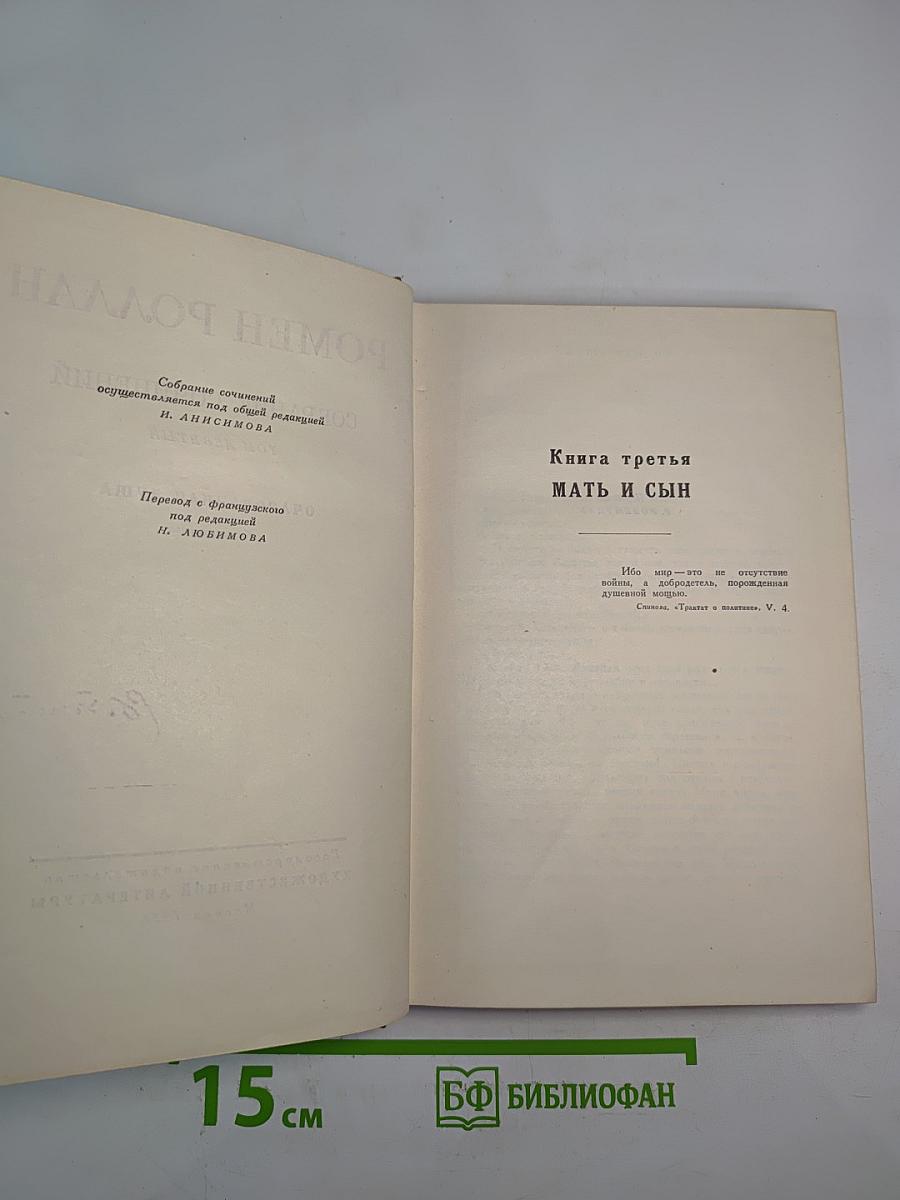 Собрание сочинений. Том девятый. Очарованная душа. Книга третья. Мать и сын