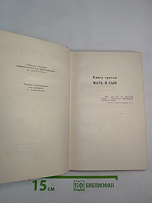 Собрание сочинений. Том девятый. Очарованная душа. Книга третья. Мать и сын