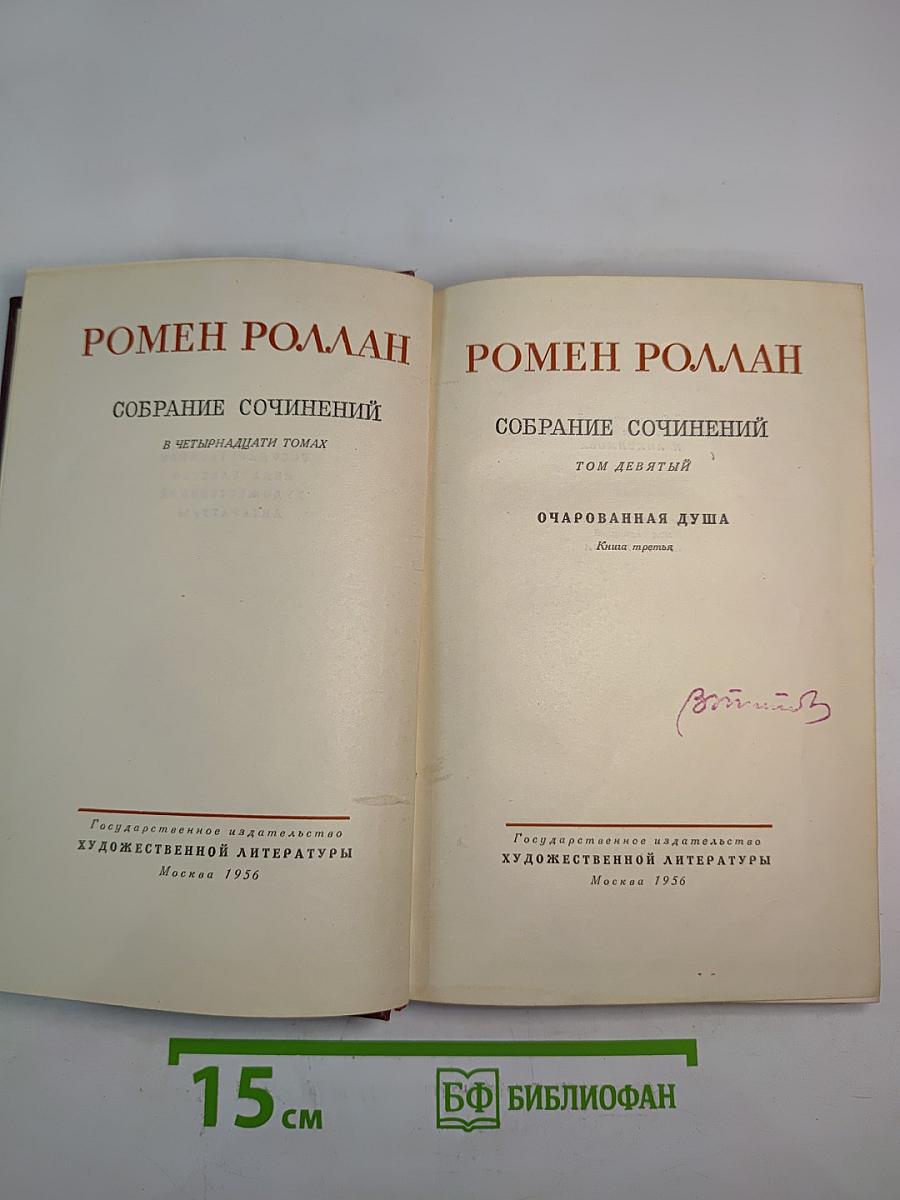 Собрание сочинений. Том девятый. Очарованная душа. Книга третья. Мать и сын