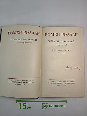 Собрание сочинений. Том девятый. Очарованная душа. Книга третья. Мать и сын