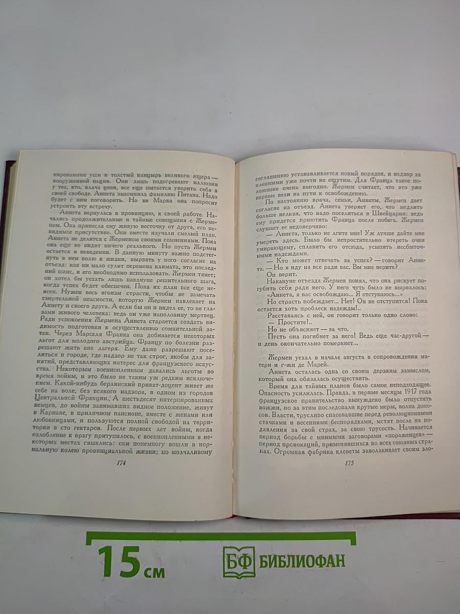 Собрание сочинений. Том девятый. Очарованная душа. Книга третья. Мать и сын