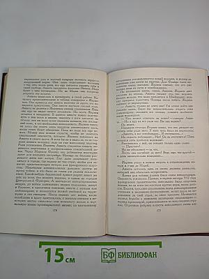 Собрание сочинений. Том девятый. Очарованная душа. Книга третья. Мать и сын