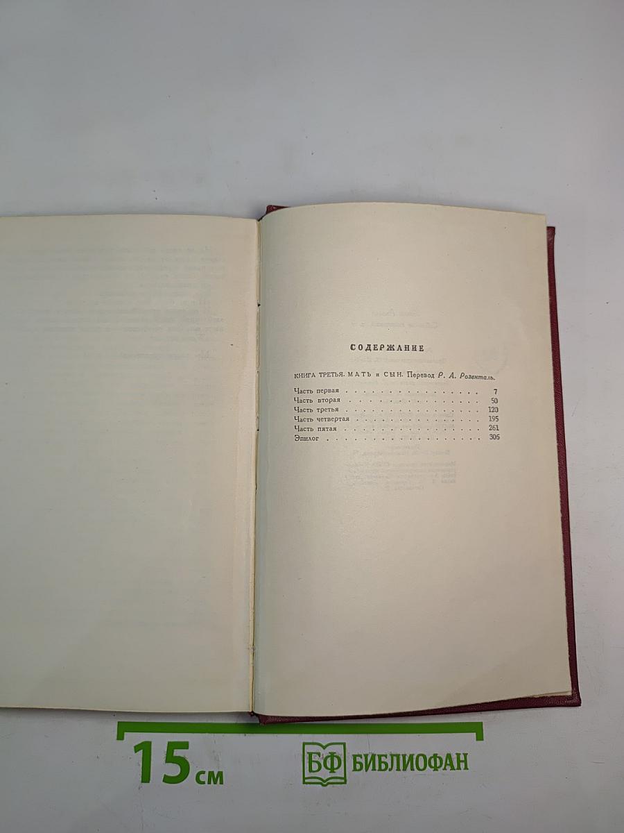 Собрание сочинений. Том девятый. Очарованная душа. Книга третья. Мать и сын