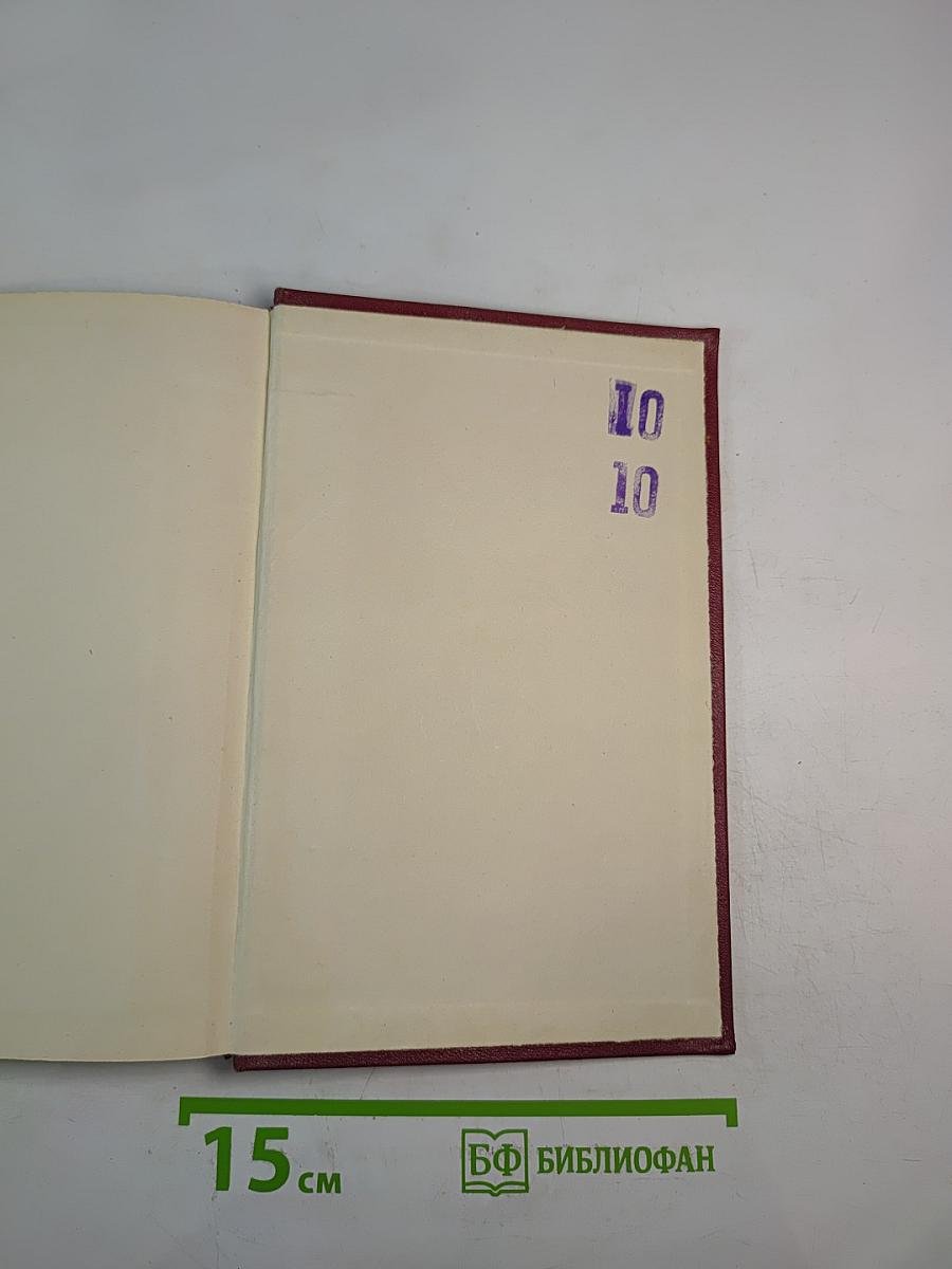 Собрание сочинений. Том девятый. Очарованная душа. Книга третья. Мать и сын