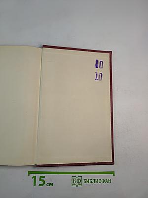 Собрание сочинений. Том девятый. Очарованная душа. Книга третья. Мать и сын