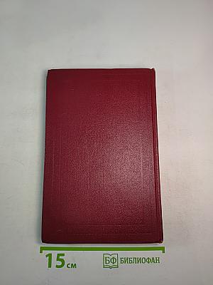 Собрание сочинений. Том девятый. Очарованная душа. Книга третья. Мать и сын