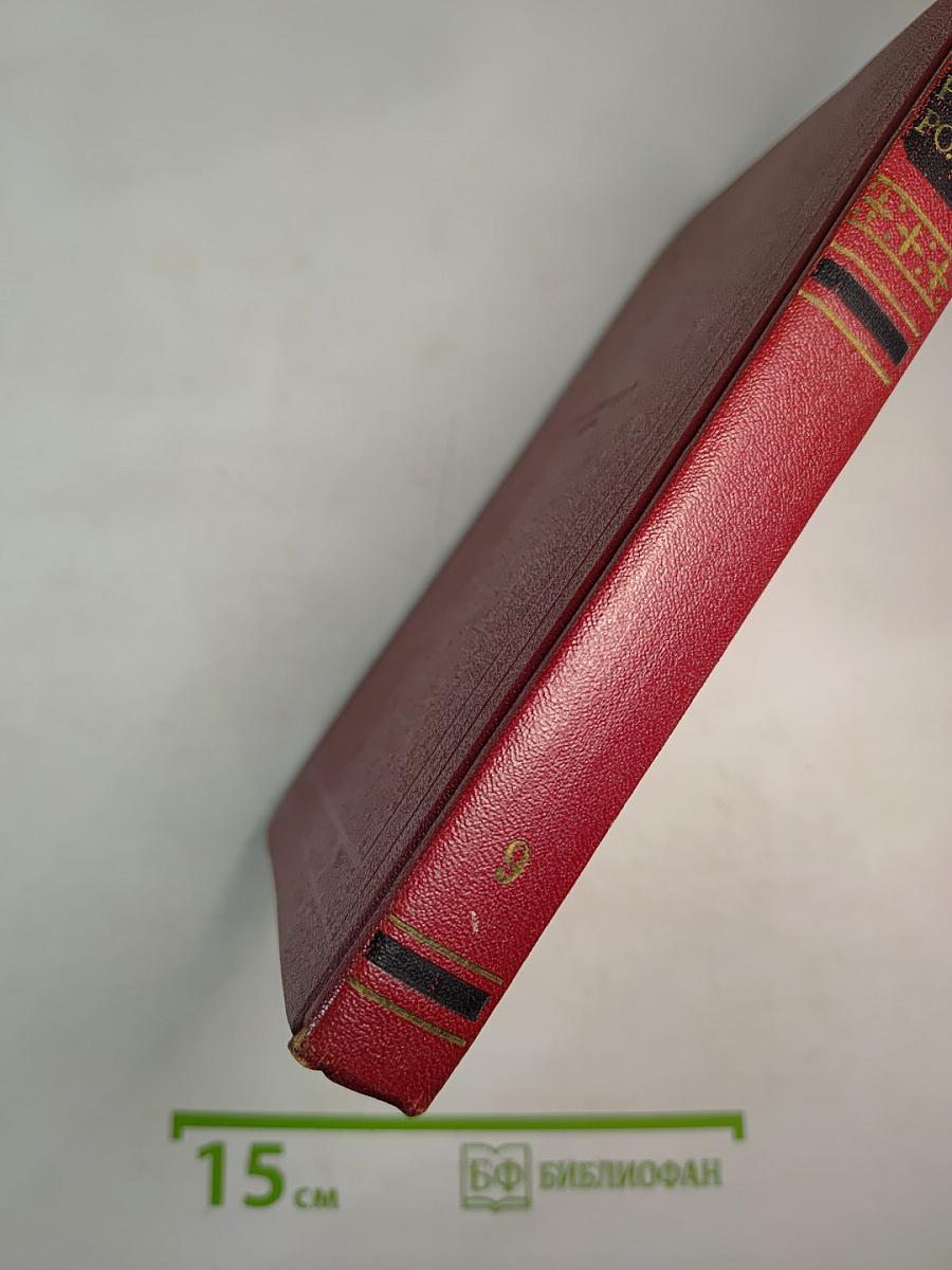 Собрание сочинений. Том девятый. Очарованная душа. Книга третья. Мать и сын