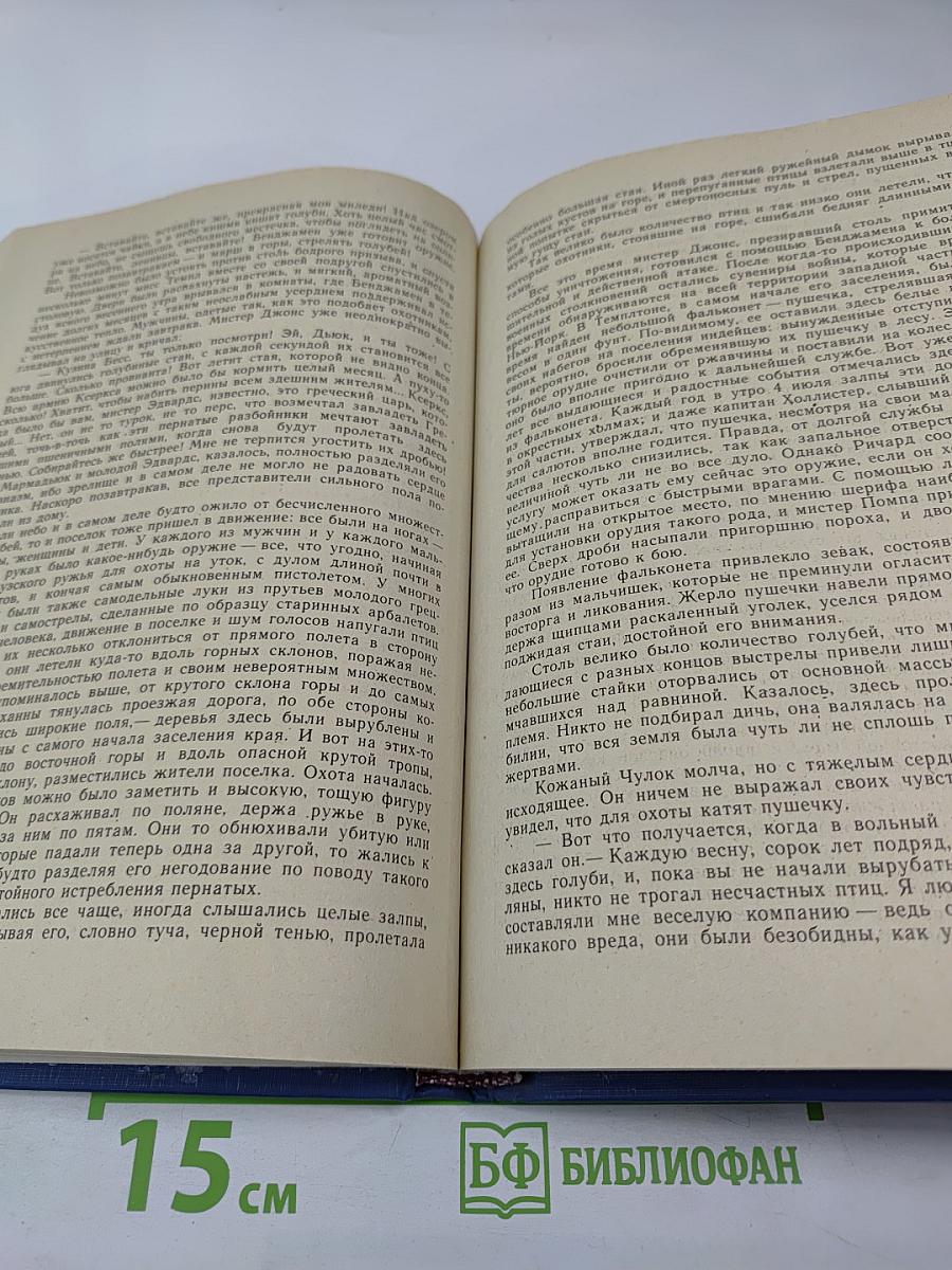 Пионеры, или У истоков Саскуиханны