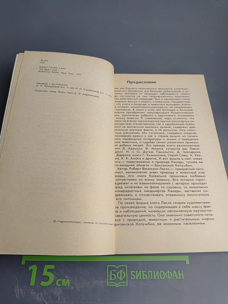 Медведи и Я