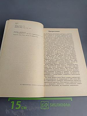 Медведи и Я