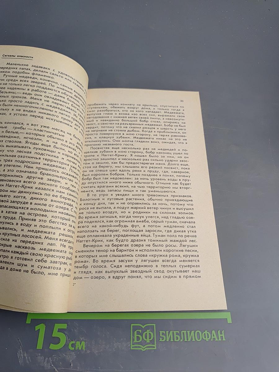 Медведи и Я