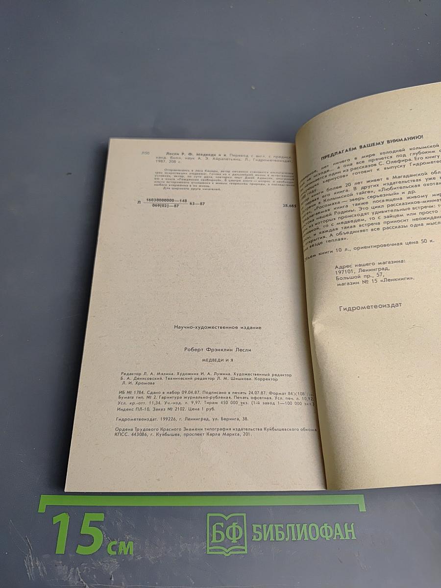 Медведи и Я