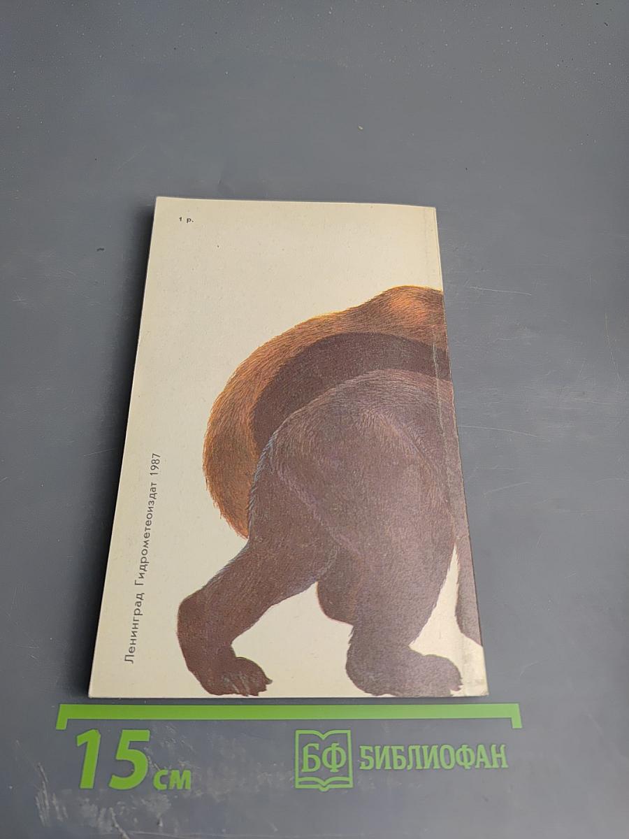 Медведи и Я