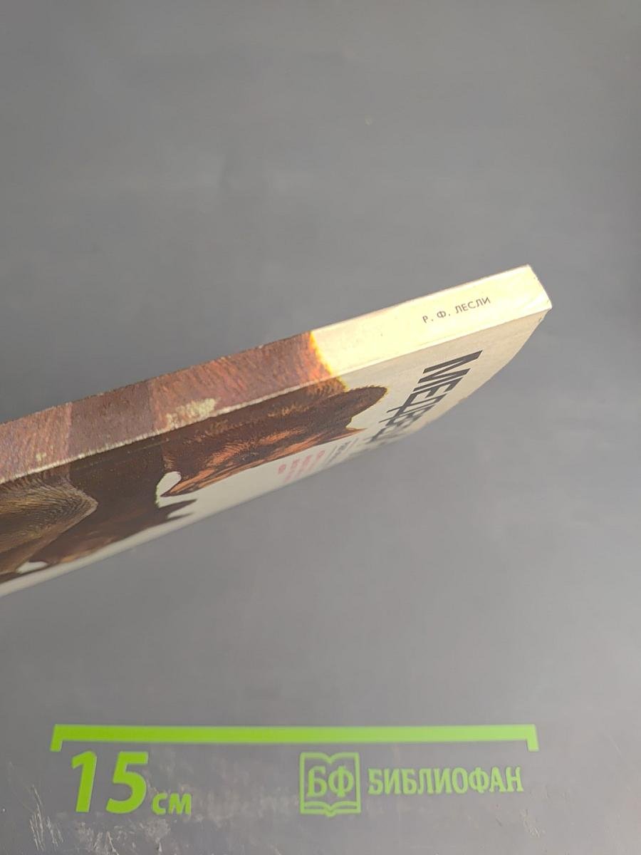 Медведи и Я