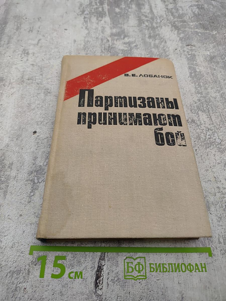 Партизаны принимают бой