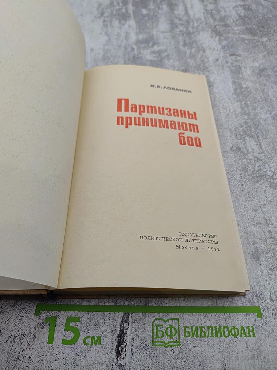 Партизаны принимают бой