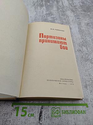 Партизаны принимают бой