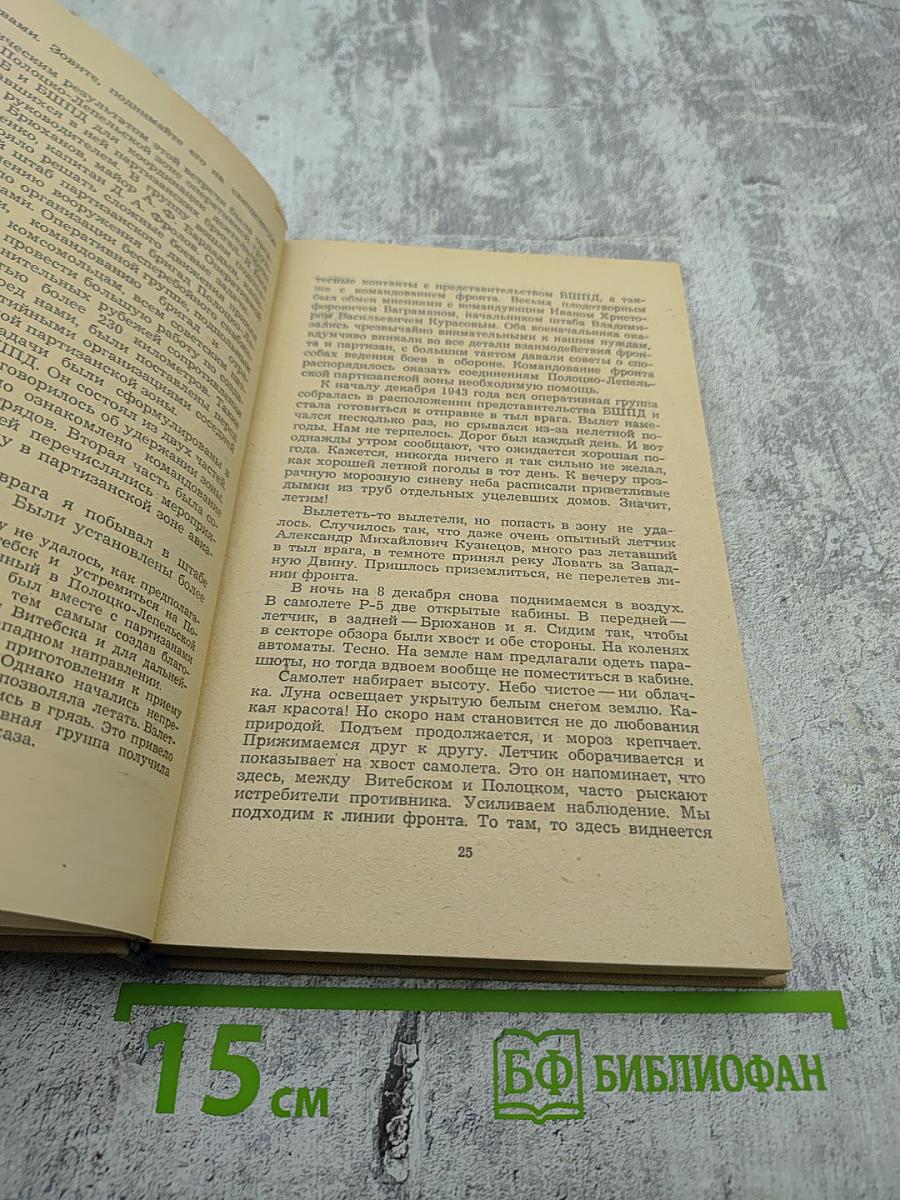 Партизаны принимают бой