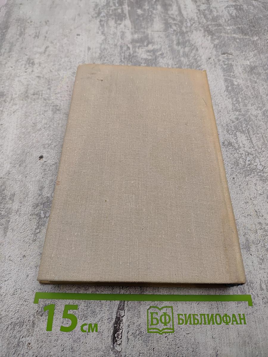 Партизаны принимают бой