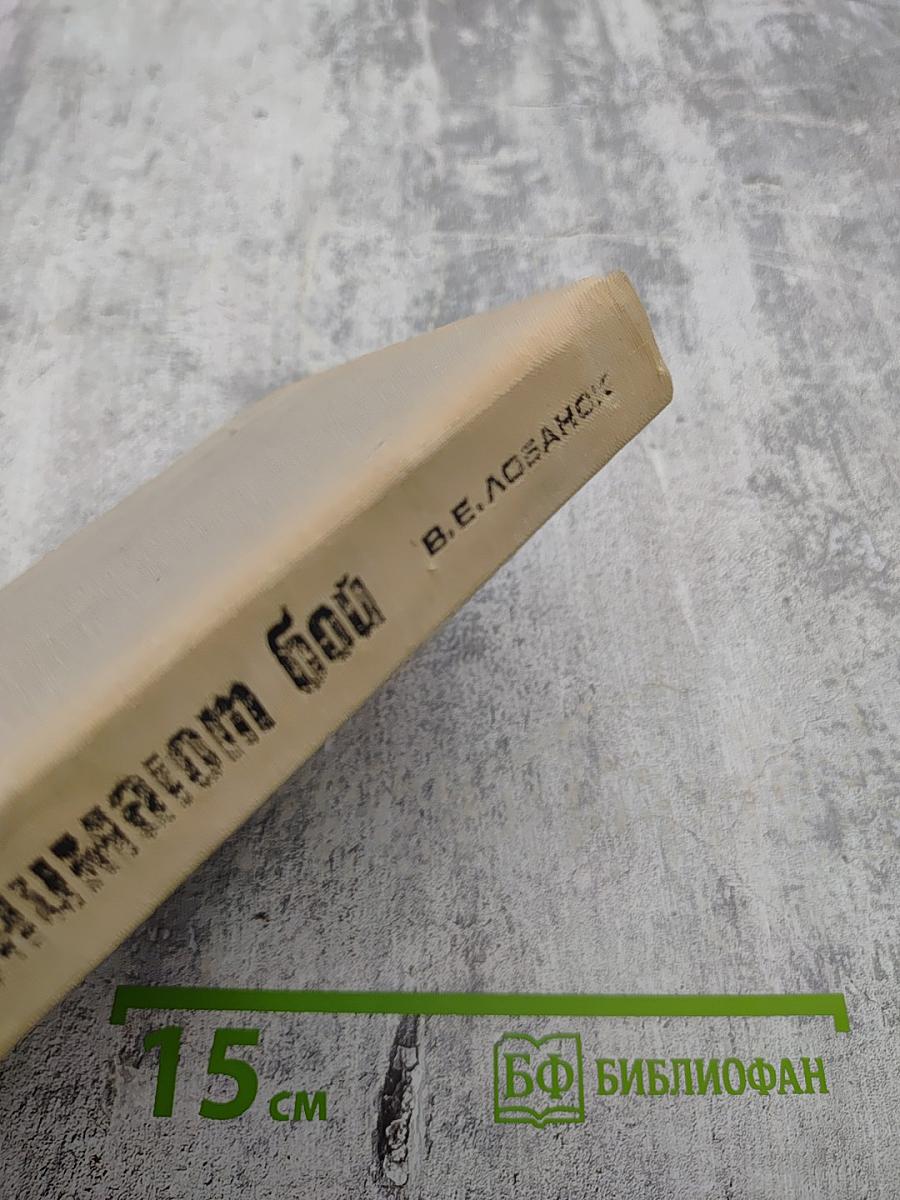 Партизаны принимают бой