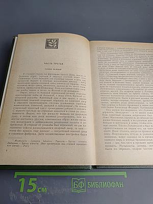 На горах. Книга вторая