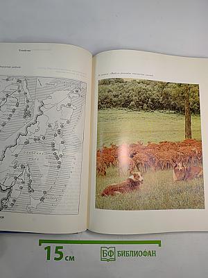 Советский Союз. Российская Федерация. Дальний Восток