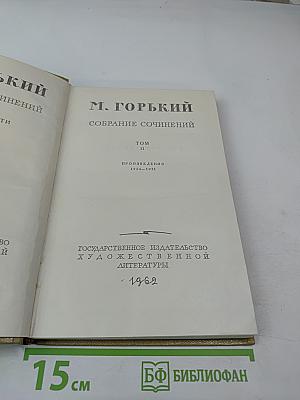 Собрание сочинений. Том 19. Произведения 1924–1931