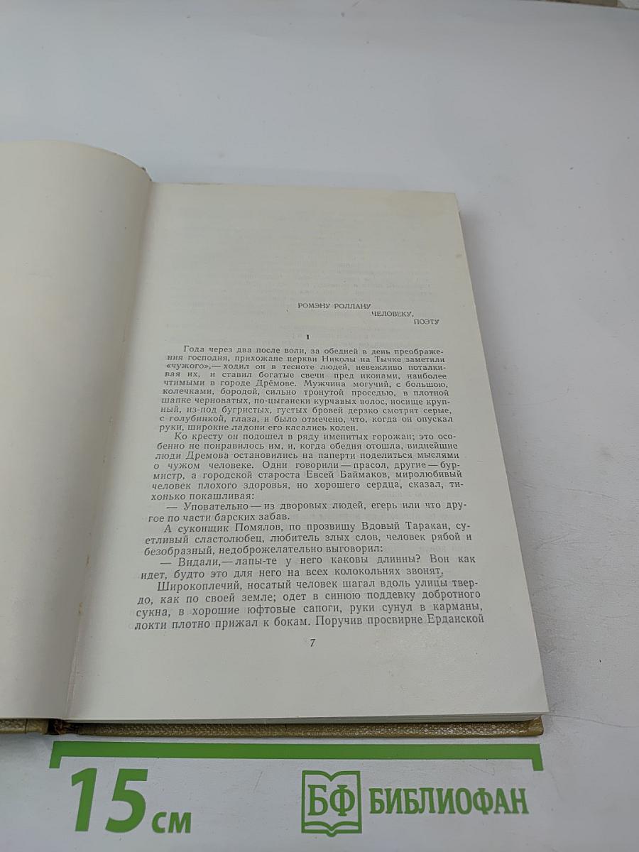 Собрание сочинений. Том 19. Произведения 1924–1931