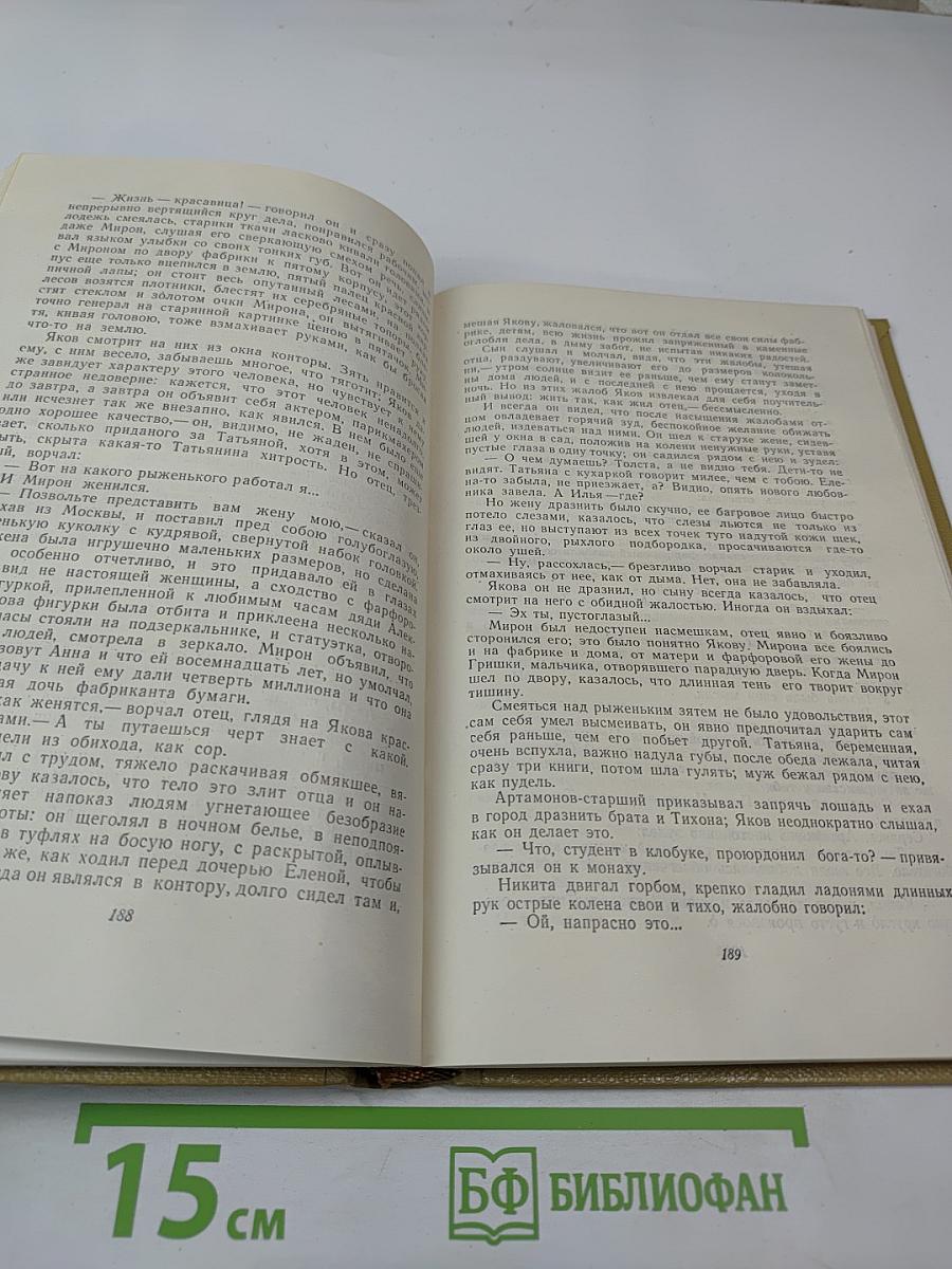Собрание сочинений. Том 19. Произведения 1924–1931