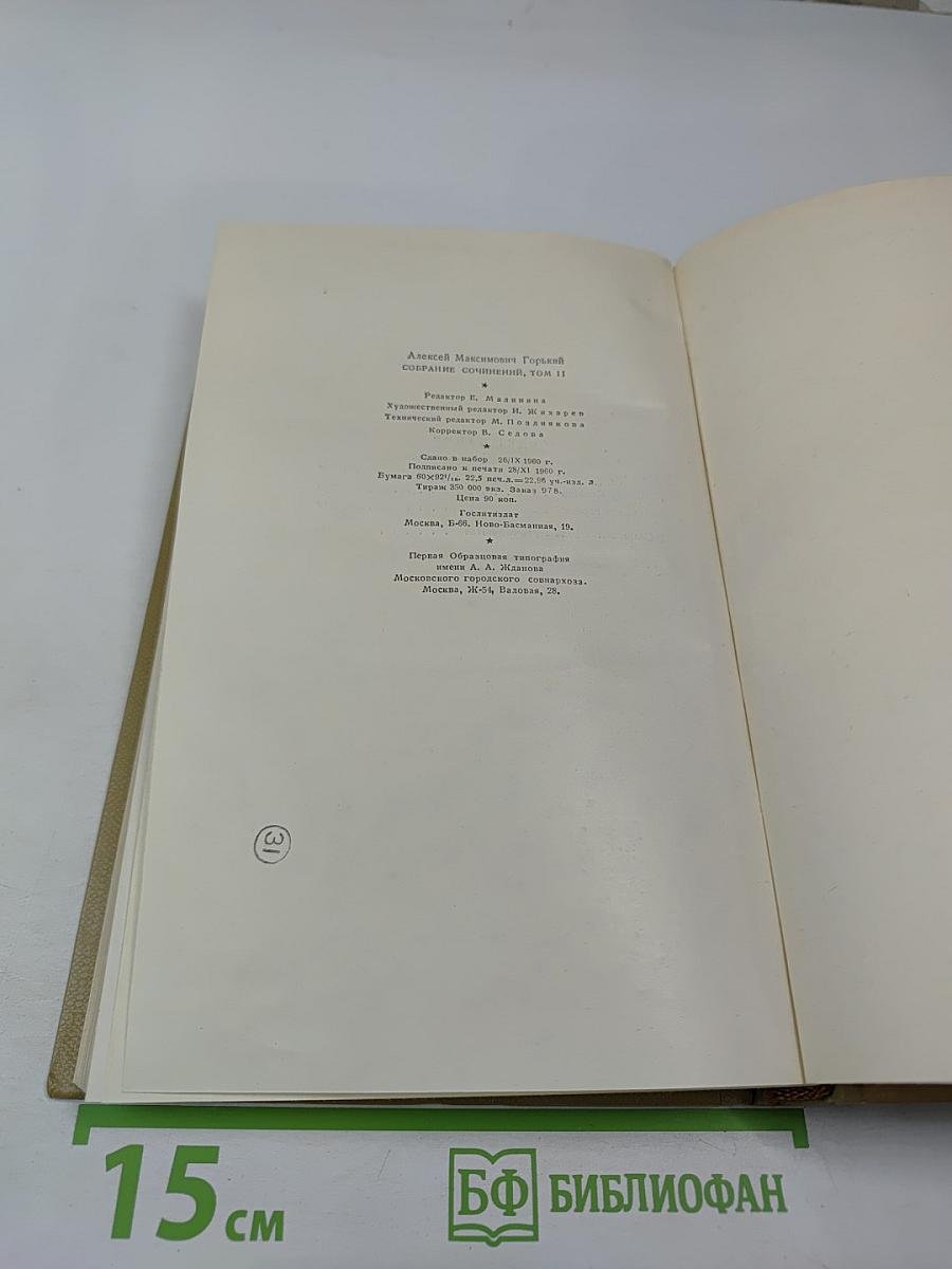Собрание сочинений. Том 19. Произведения 1924–1931