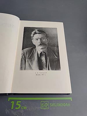 М. Горький. Том 9. Повести 1909-1912