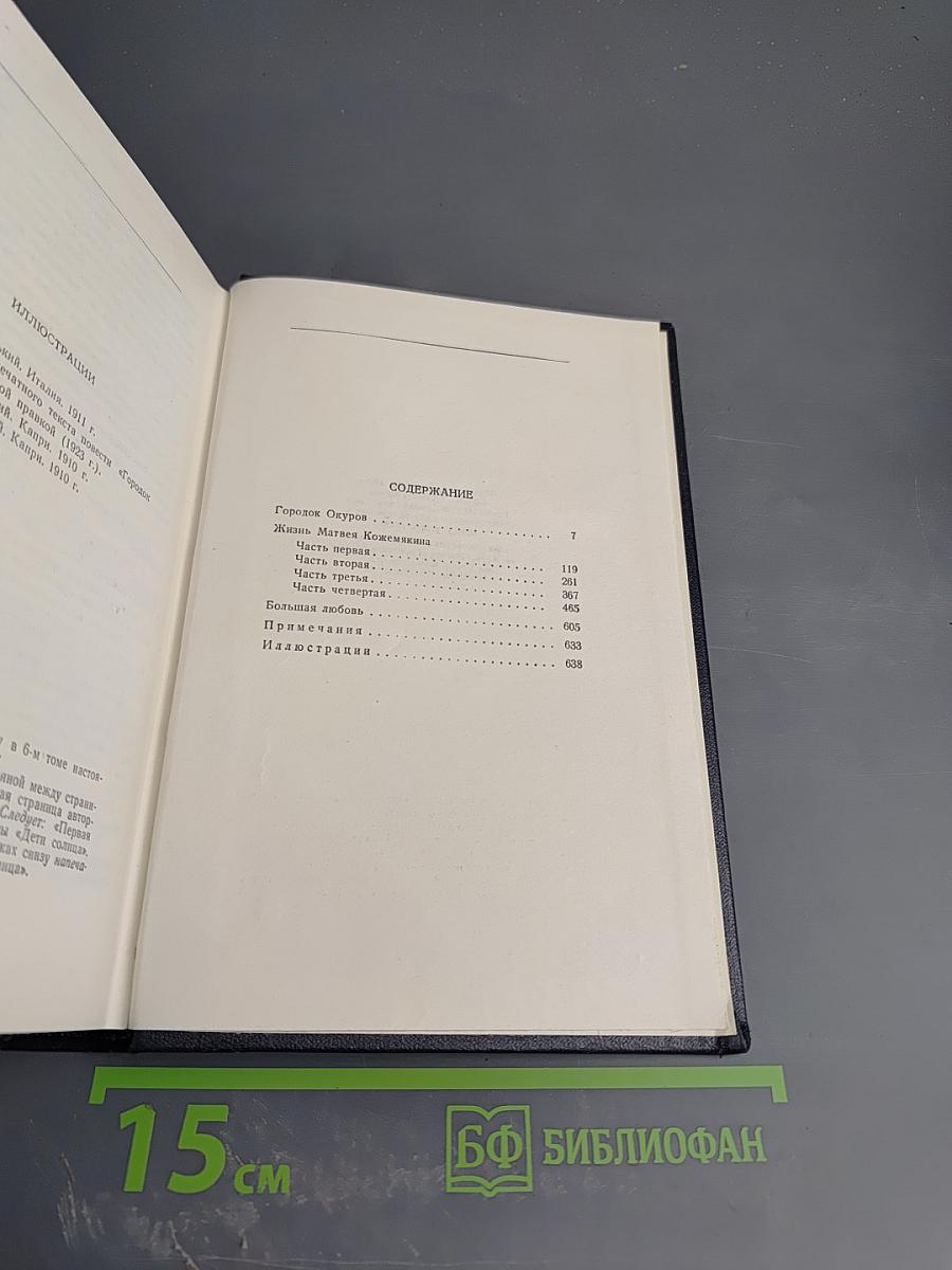 М. Горький. Том 9. Повести 1909-1912