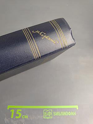 М. Горький. Том 9. Повести 1909-1912