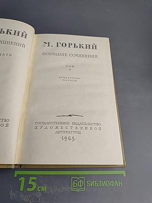 Собрание сочинений. Том 18: Литературные портреты